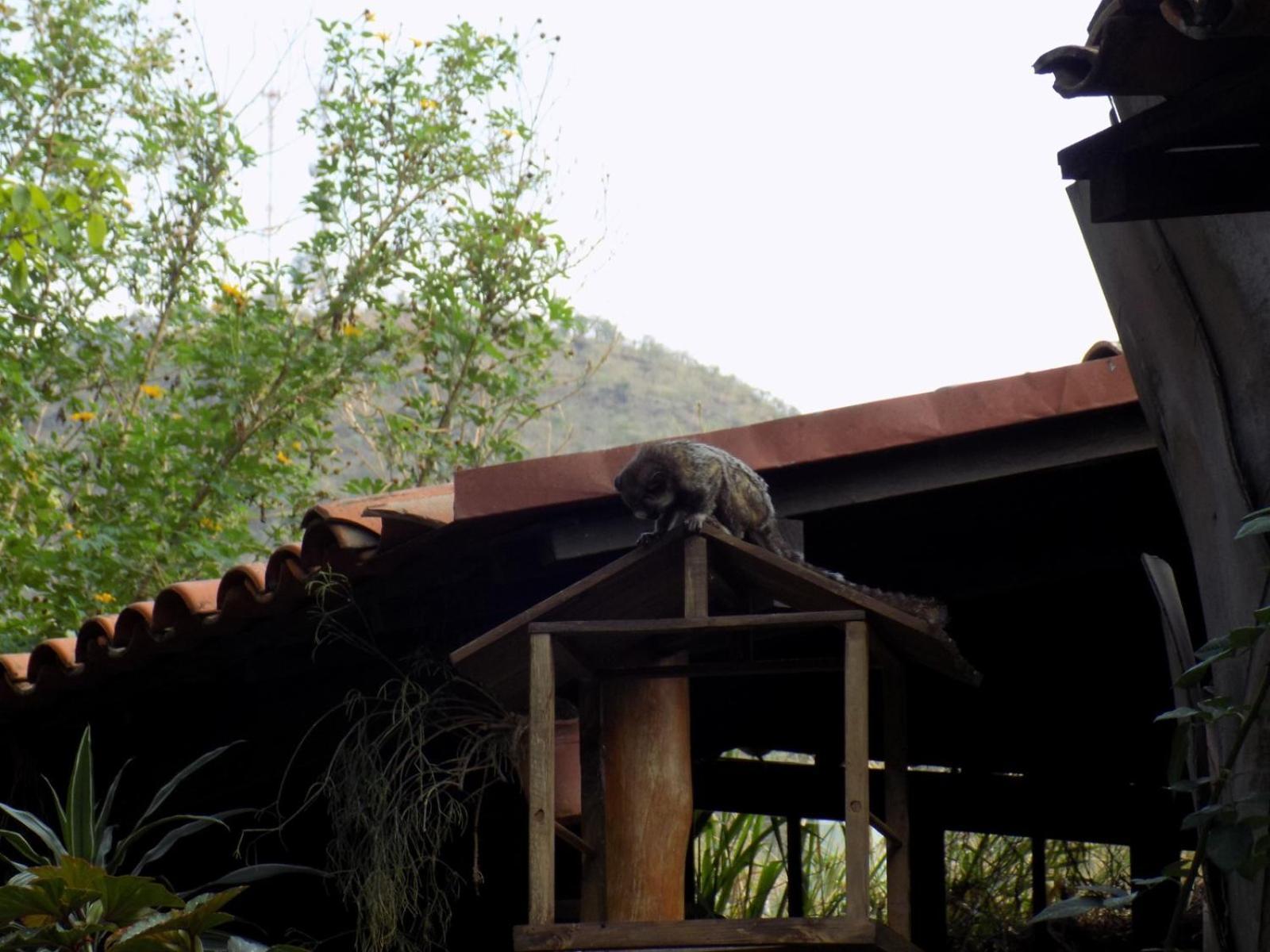 Pousada Fenix Pirenopolis Ngoại thất bức ảnh